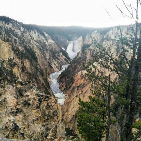 33162653_201489180469427_5166309396061356032_n